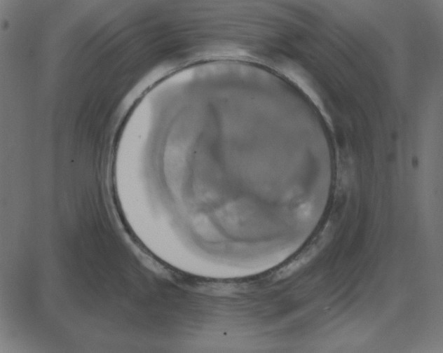 X0000087411245200705181349