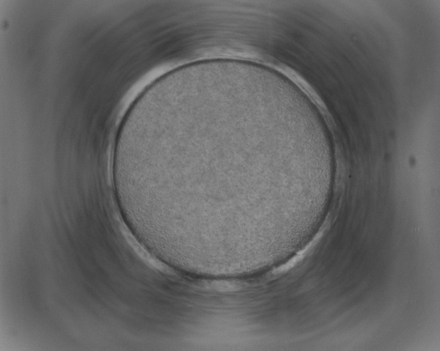 X0000087411246200705181349