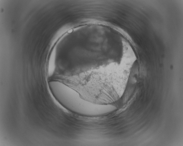 X0000087411247200705181349