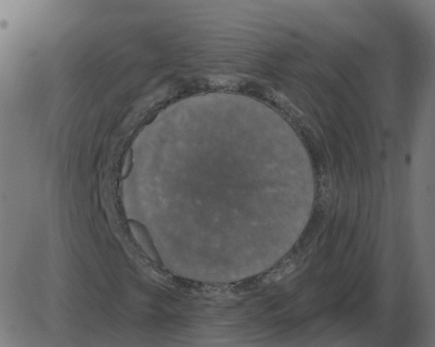 X0000087411249200705181349