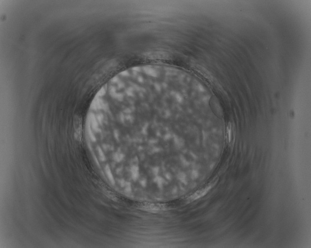 X0000087411251200705181349