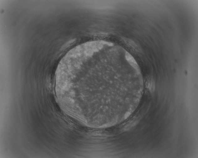 X0000087411252200705181349