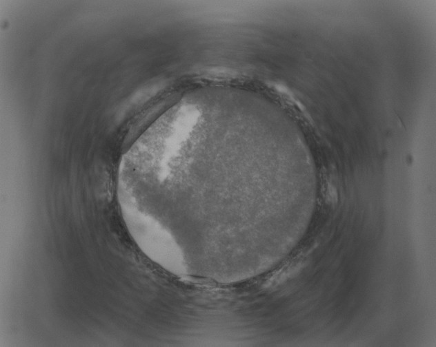 X0000087411253200705181349