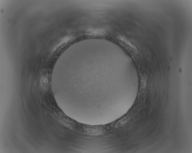 X0000087411254200705181349