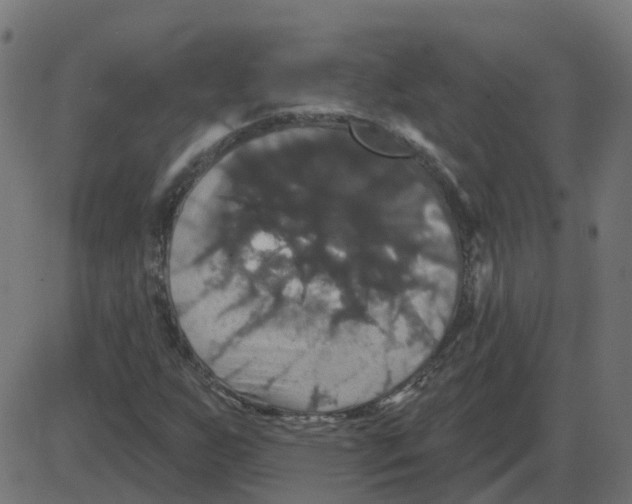 X0000087411255200705181349