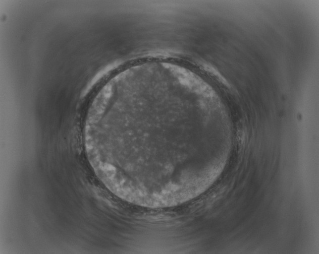 X0000087411256200705181349