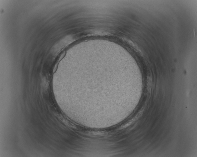 X0000087411257200705181349