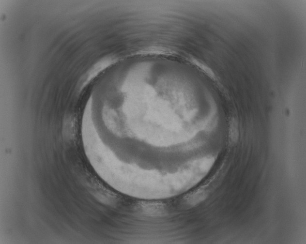 X0000087411258200705181349