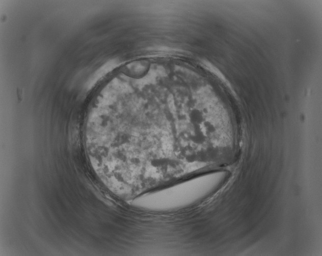 X0000087411259200705181348