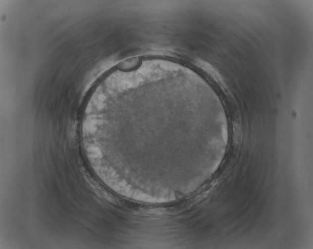 X0000087411260200705181348