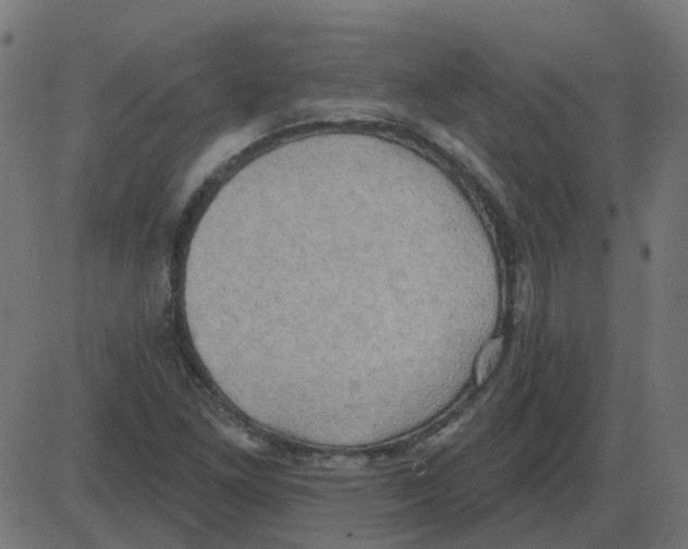 X0000087411261200705181348