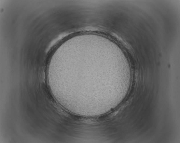 X0000087411262200705181348