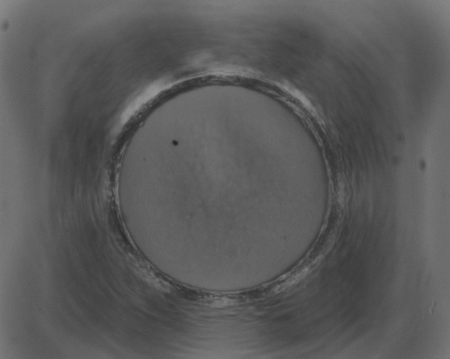 X0000087411263200705181348