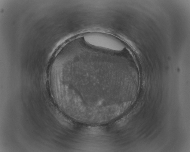 X0000087411264200705181348