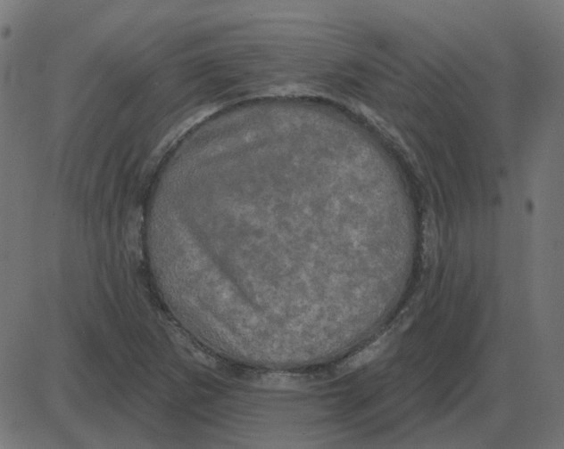 X0000087411265200705181348