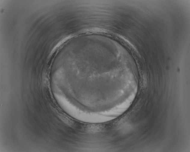 X0000087411266200705181348