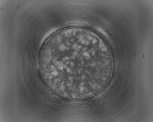 X0000087411267200705181348