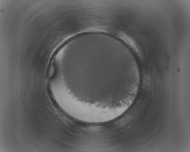 X0000087411268200705181348