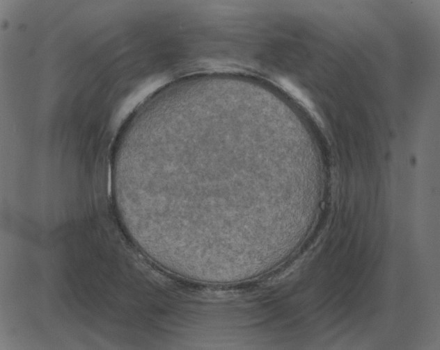 X0000087411269200705181348