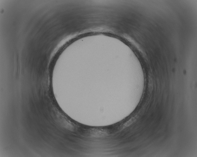 X0000087411270200705181348