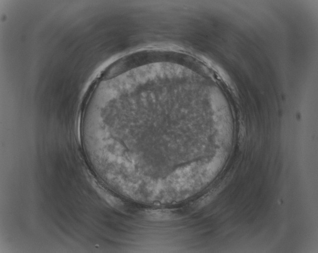 X0000087411272200705181348