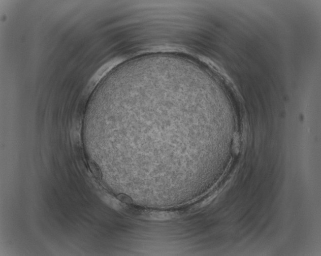 X0000087411273200705181348