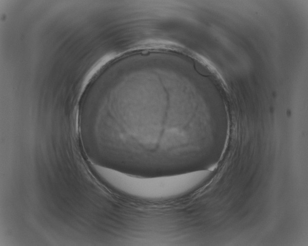 X0000087411275200705181348