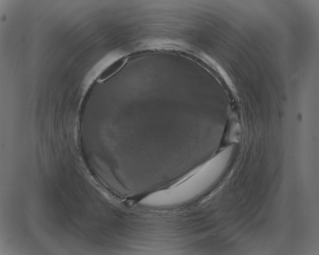 X0000087411277200705181348