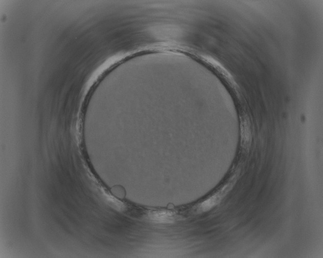 X0000087411278200705181348