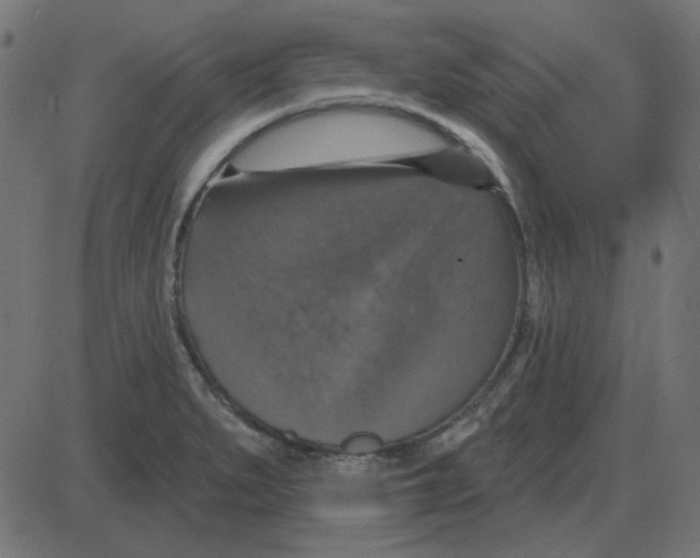 X0000087411279200705181348