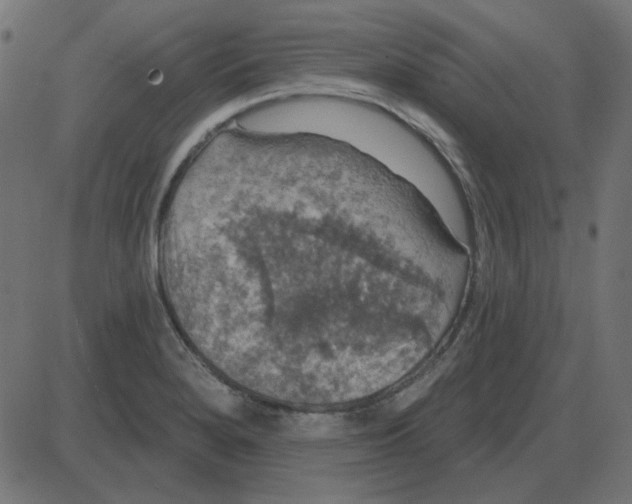 X0000087411280200705181348