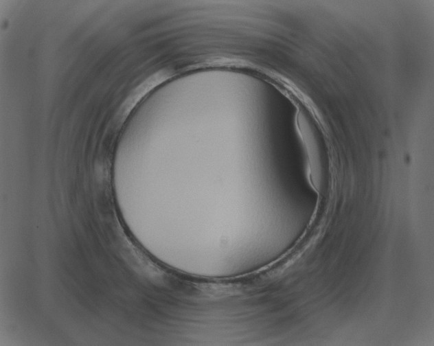 X0000087411281200705181348