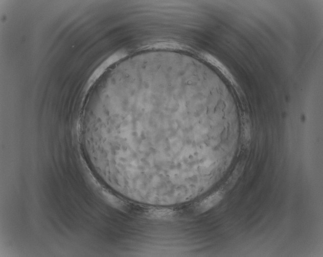 X0000087411282200705181348