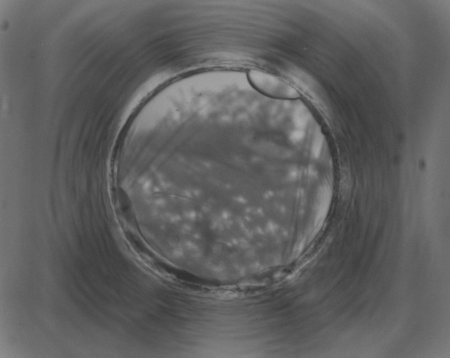 X0000087411283200705181348