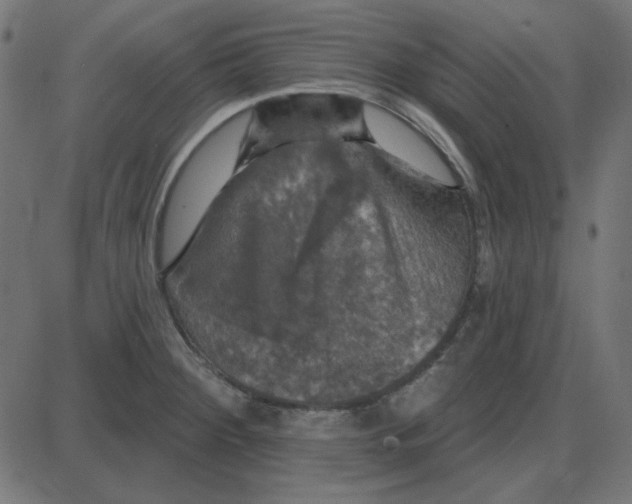 X0000087411284200705181348