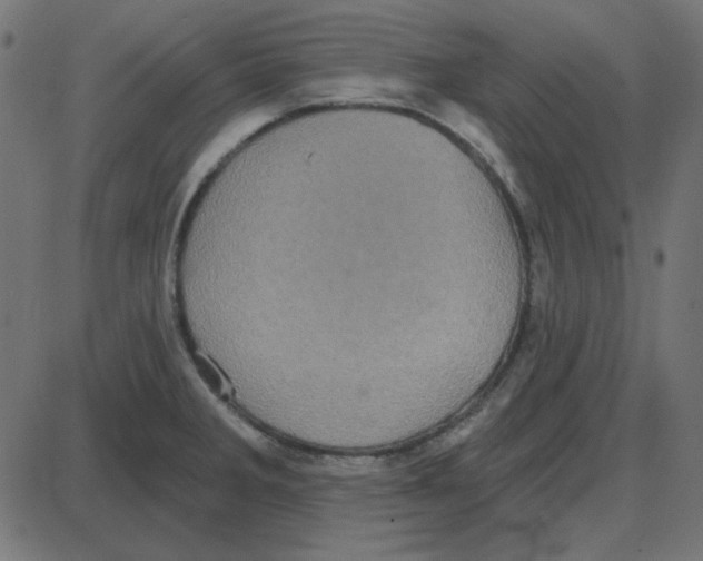 X0000087411285200705181348