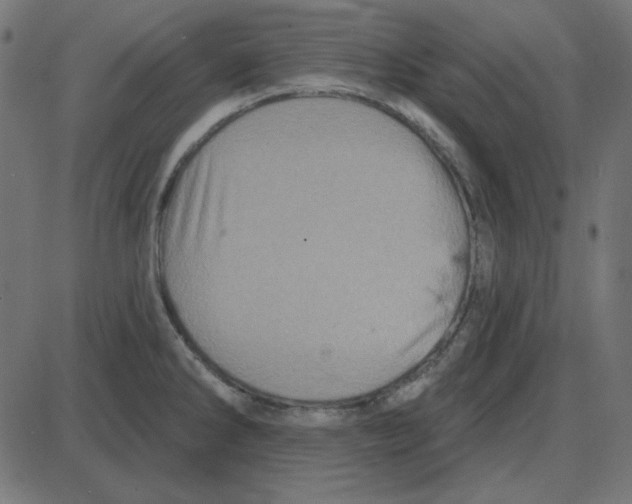 X0000087411286200705181348