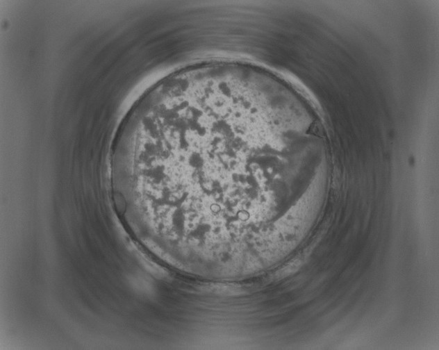 X0000087411287200705181348