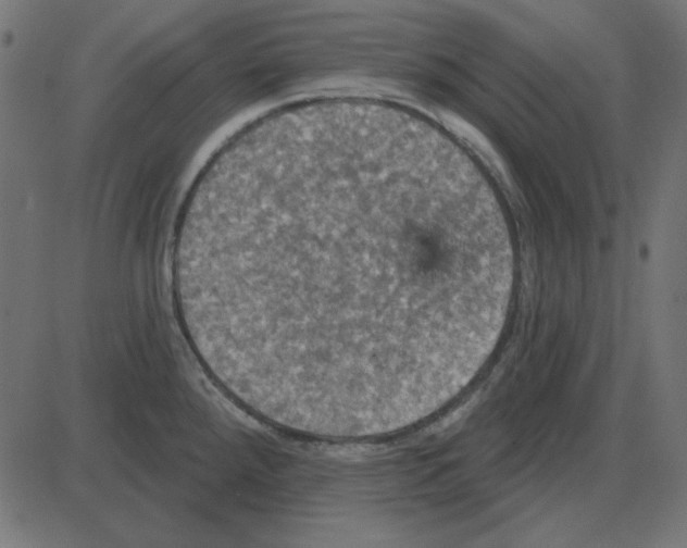 X0000087411288200705181348