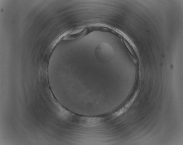 X0000087411289200705181348