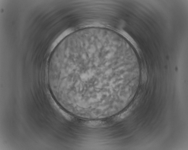 X0000087411290200705181348