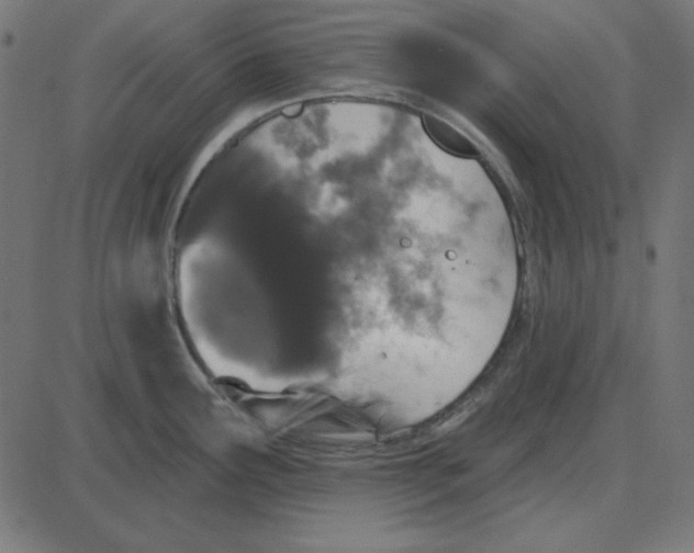 X0000087411291200705181348