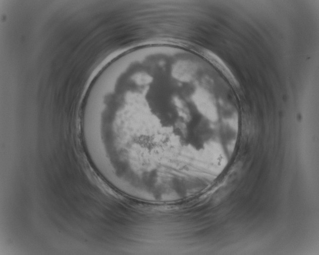 X0000087411292200705181348