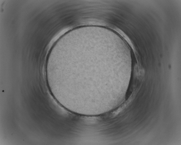 X0000087411293200705181348