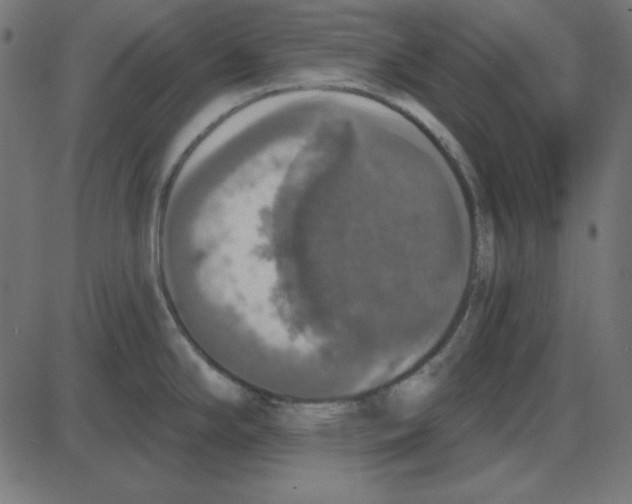 X0000087411294200705181348