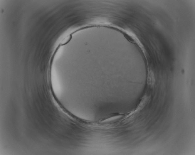 X0000087411295200705181348