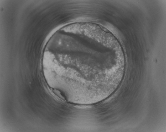 X0000087411296200705181348