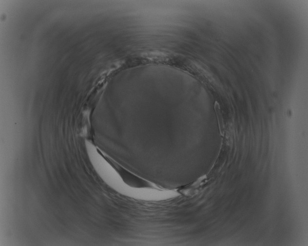 X0000087411298200705181347