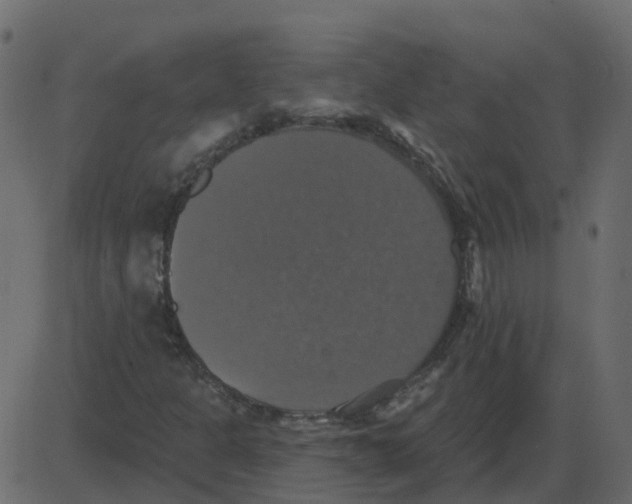 X0000087411301200705181347