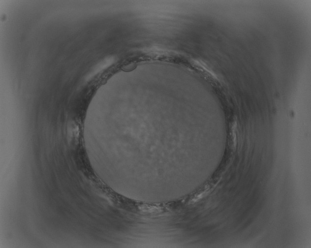 X0000087411302200705181347